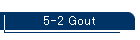 5-2 Gout