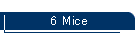 6 Mice