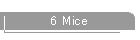 6 Mice