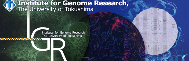 Institute for Genome Research, The University of Tokushima